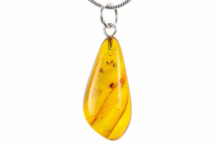 Polished Baltic Amber Pendant (Necklace) - Contains Five Insects! #270739